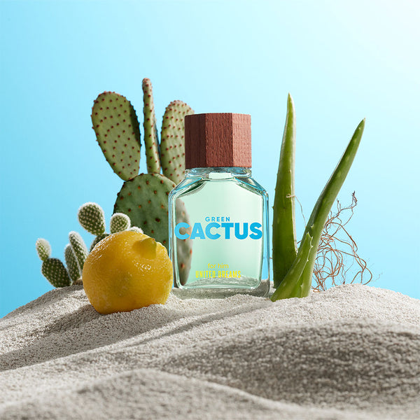 Hombre - Benetton United Dreams Green Cactus 100 ml Edt