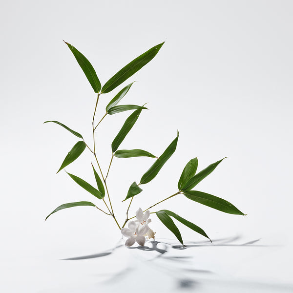 Mujer - Adolfo Domínguez Agua Fresca Agua de Bambú 120 ml Edt