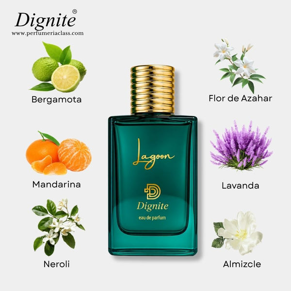 Hombre - Dignite Lagoon 50 ml Edp