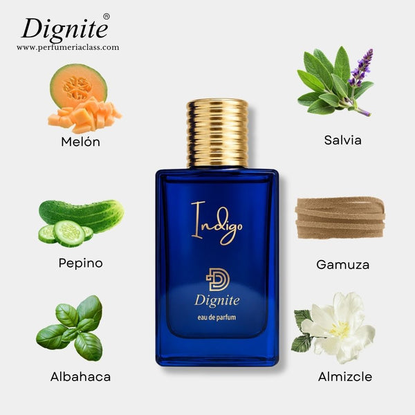 Hombre - Dignite Indigo 50 ml Edp