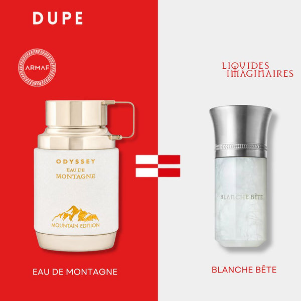 Hombre - Armaf Odyssey Eau de Montagne 100 ml Edp